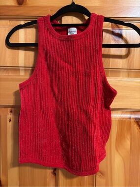 No Boundaries Red Glitter Ribbed Crop Tank Top
